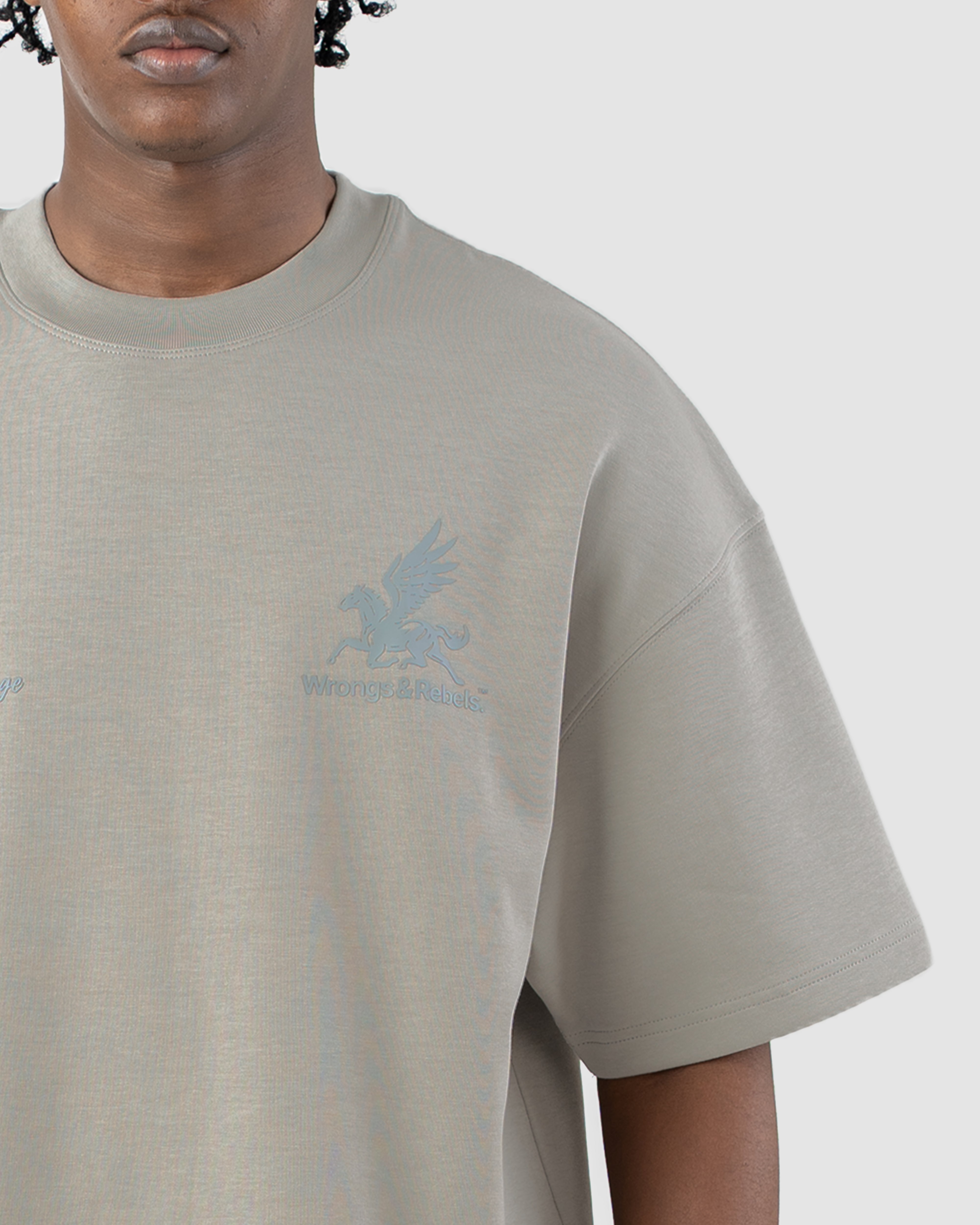 W&R Dark Ash Boxy T-Shirt