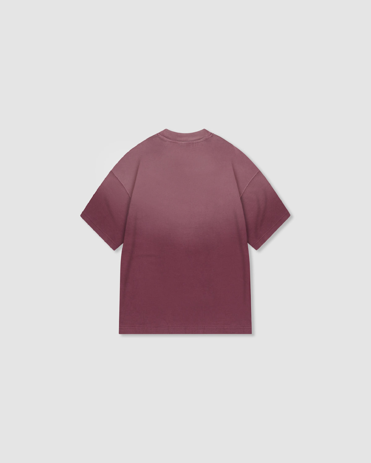 W&R Light Wash Fig T-shirt