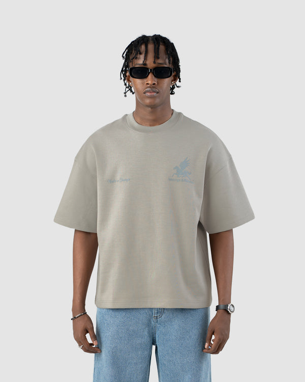 W&R Dark Ash Boxy T-Shirt