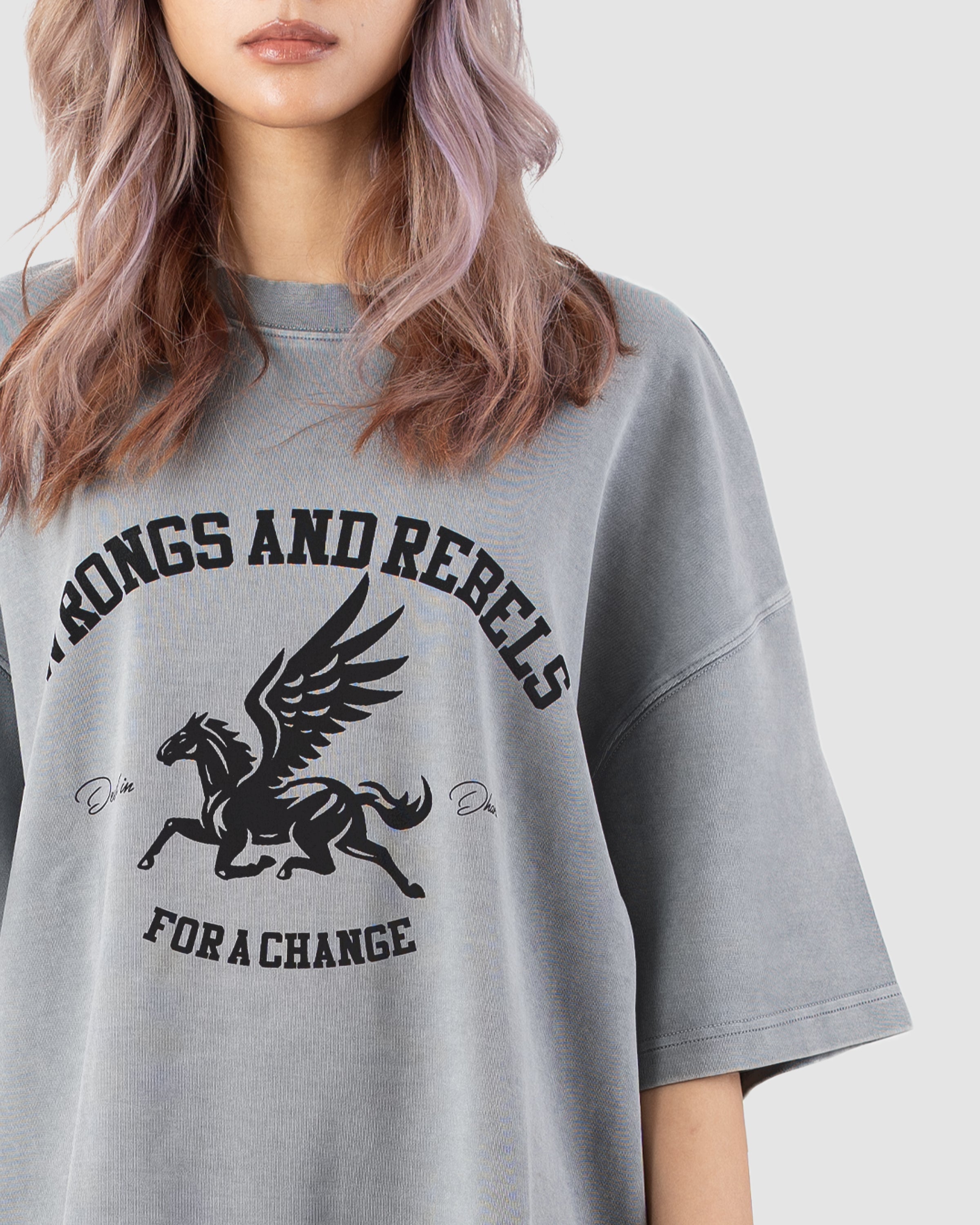 W&R Pegasus Acid Washed  Boxy T-Shirt